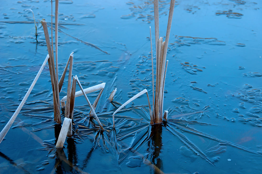 Ein bisschen Winter