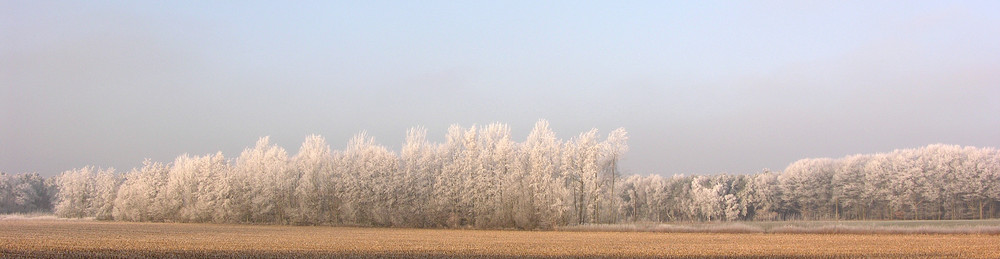 Ein bisschen Winter! :-(