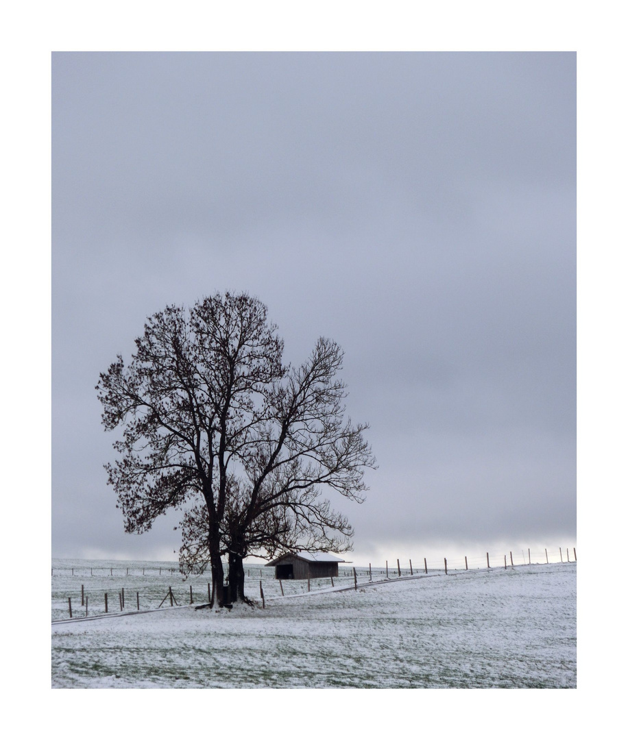 ein bisschen Winter III