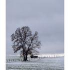 ein bisschen Winter III