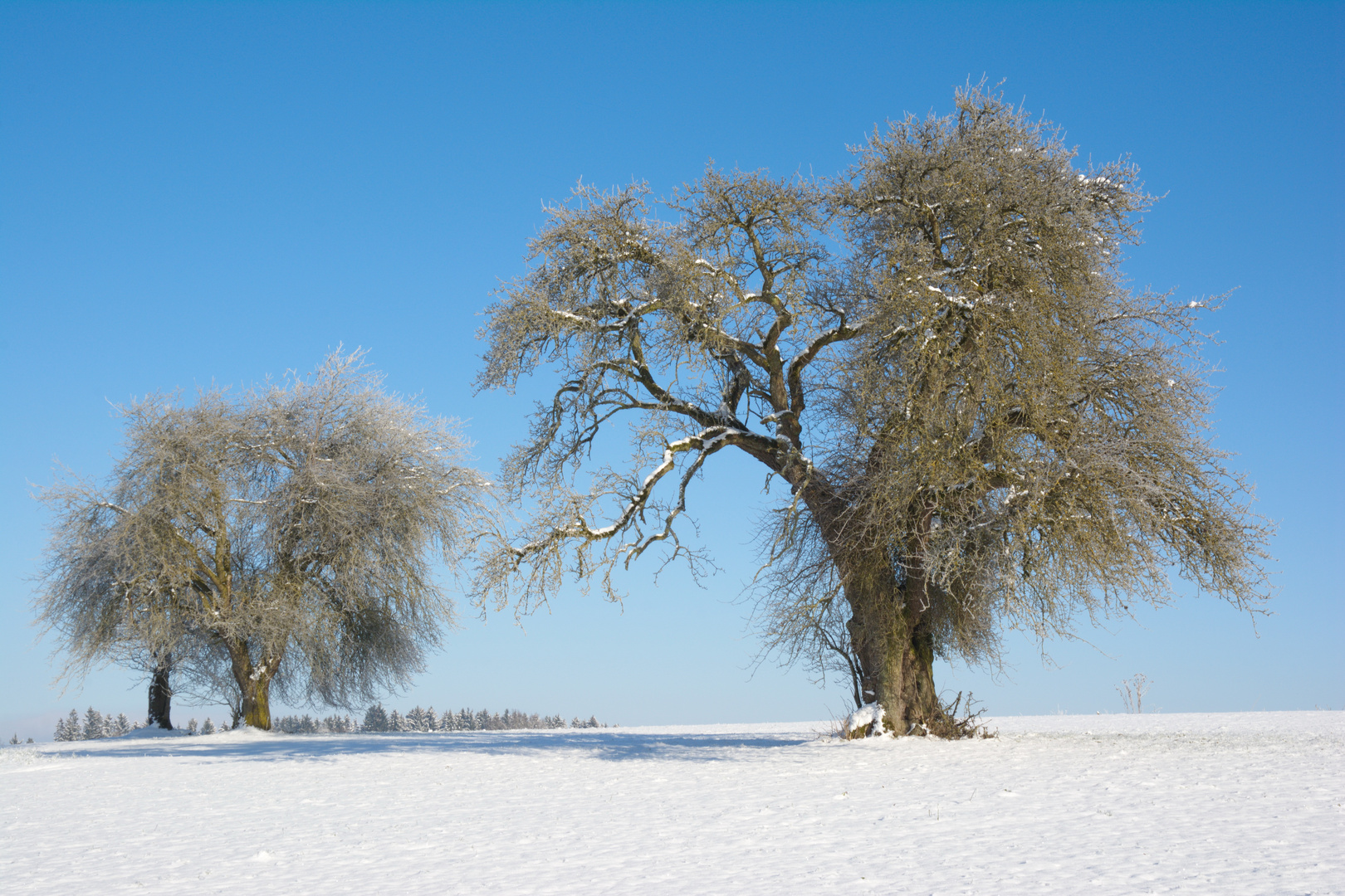 Ein bisschen Winter tut schon gut...