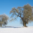 Ein bisschen Winter tut schon gut...