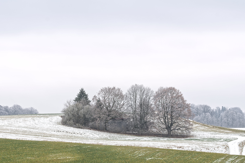 Ein bisschen winterlich 4