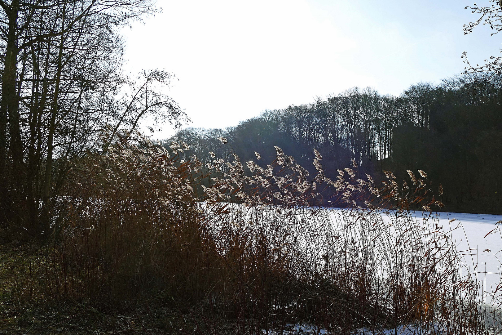 ein bisschen winterlich