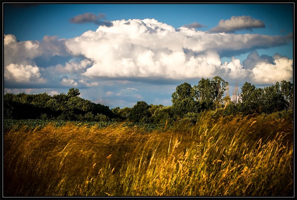 "Ein bisschen Wolken und ein bisschen Feld und Wald"