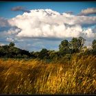 "Ein bisschen Wolken und ein bisschen Feld und Wald"