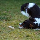 Ein bisschen Yoga am Abend