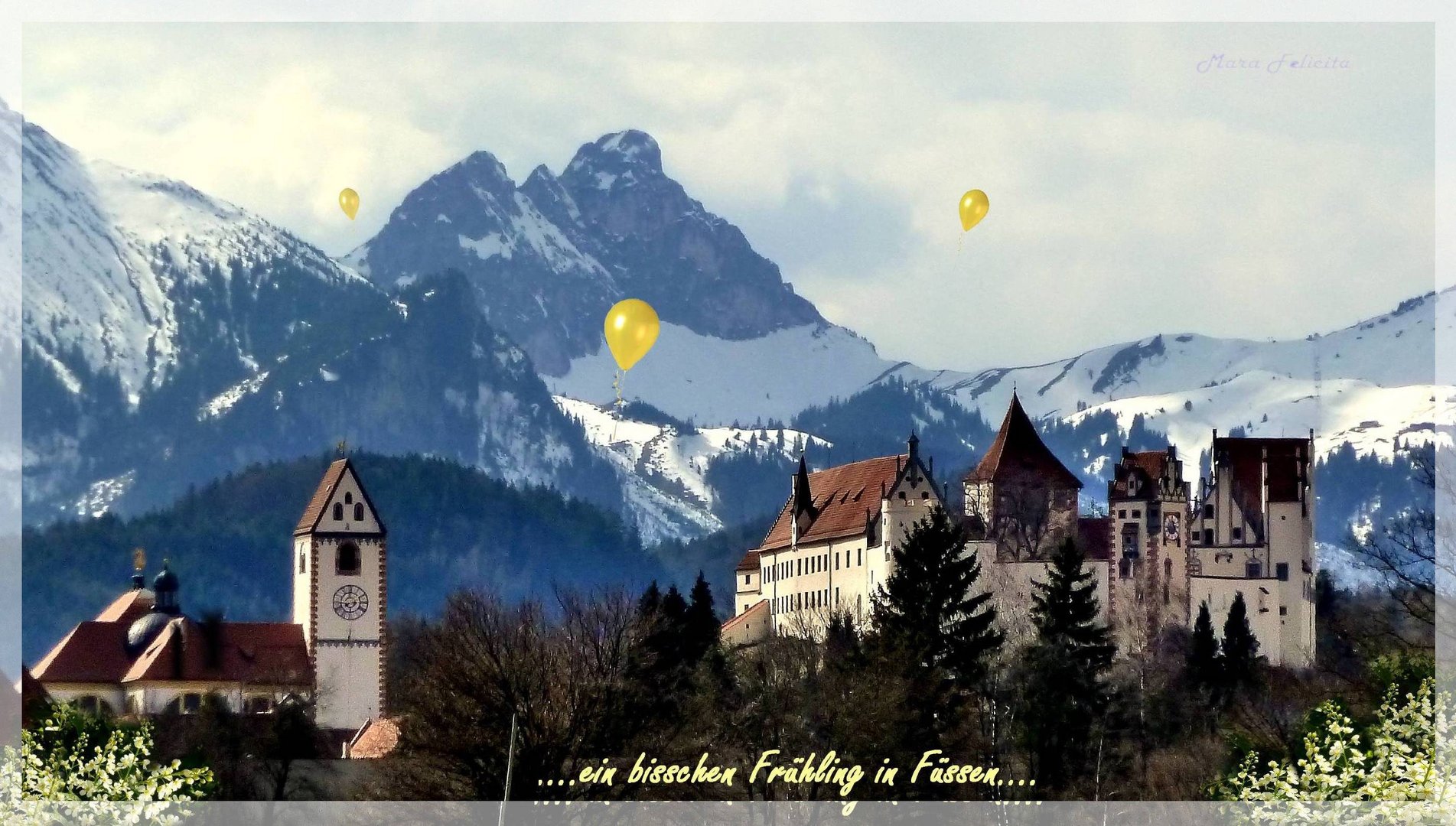 Ein bisserl Frühling in Füssen......