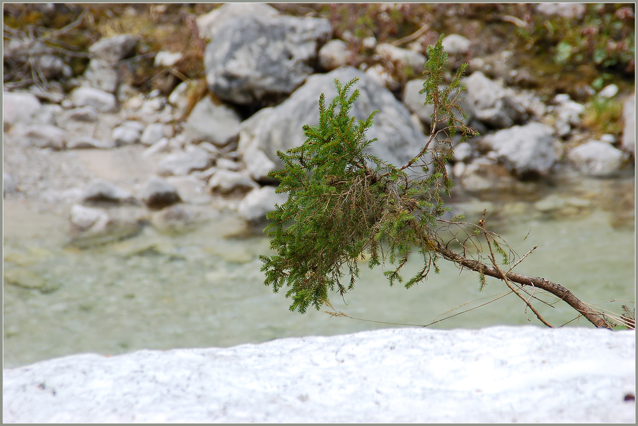 Ein bissl Schnee am Grimmingbach