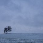 Ein bißl Winter