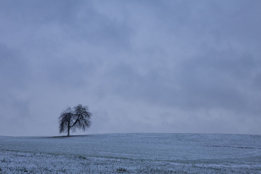 Ein bißl Winter