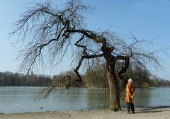 Ein bizarrer Baum