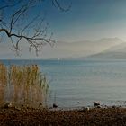 Ein blasser Dunst über dem herbstlichen Tegernsee...