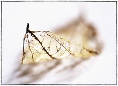 Ein Blatt