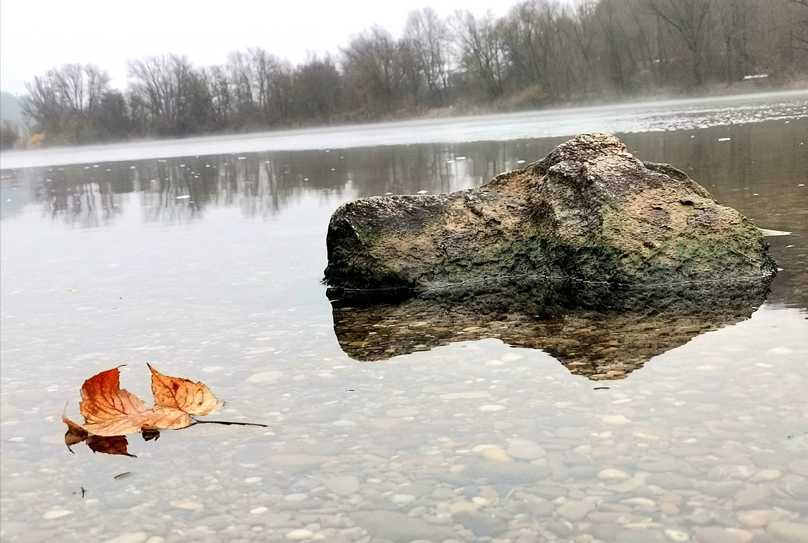 Ein Blatt geht auf Reisen ??????????