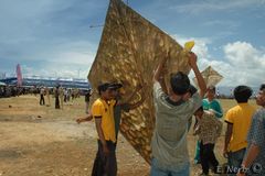 Ein "Blattdrache" in Sulawesi