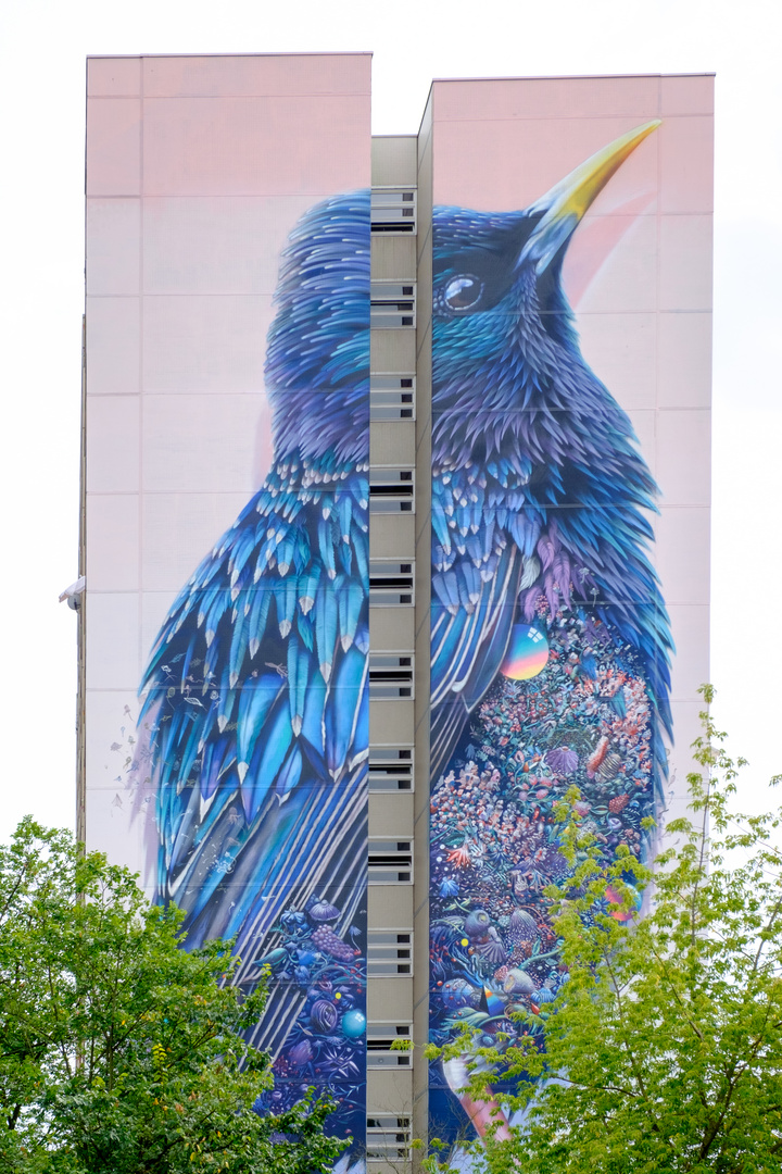 ein blauer Riesenvogel