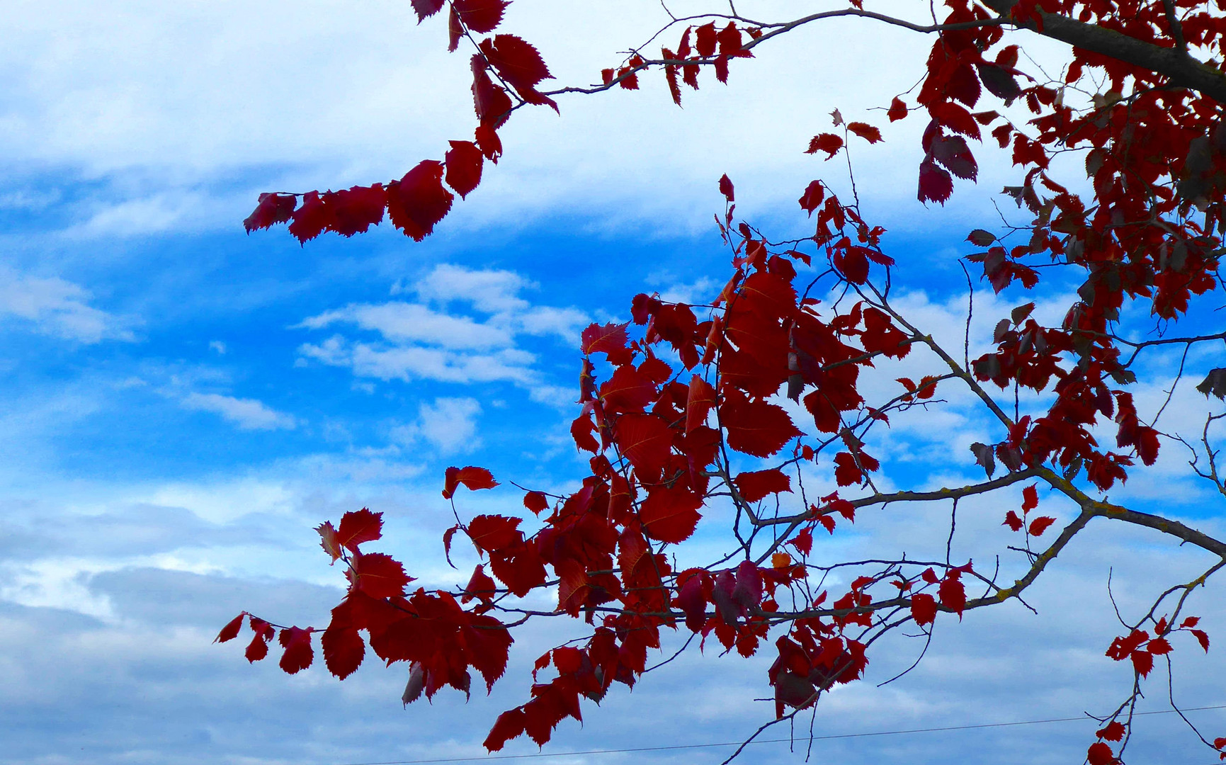 ein blauer Streifen am Himmel