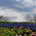 Ein blauer Teppich, zwischen Himmel und Erde