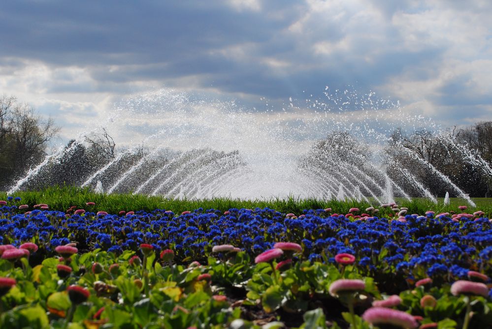 Ein blauer Teppich, zwischen Himmel und Erde