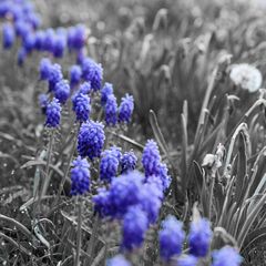 ein blaues Band