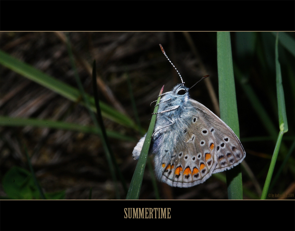 Ein blaues Wunder...