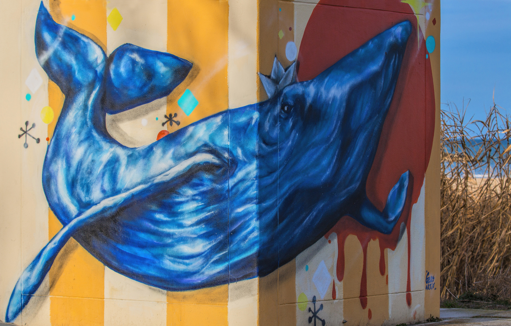 ein Blauwal am Strand von Senigallia...