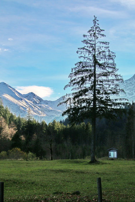 ein Blick auch für Skispringer