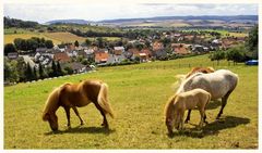 Ein Blick auf das Leinetal .Im Hintergrund der Solling.