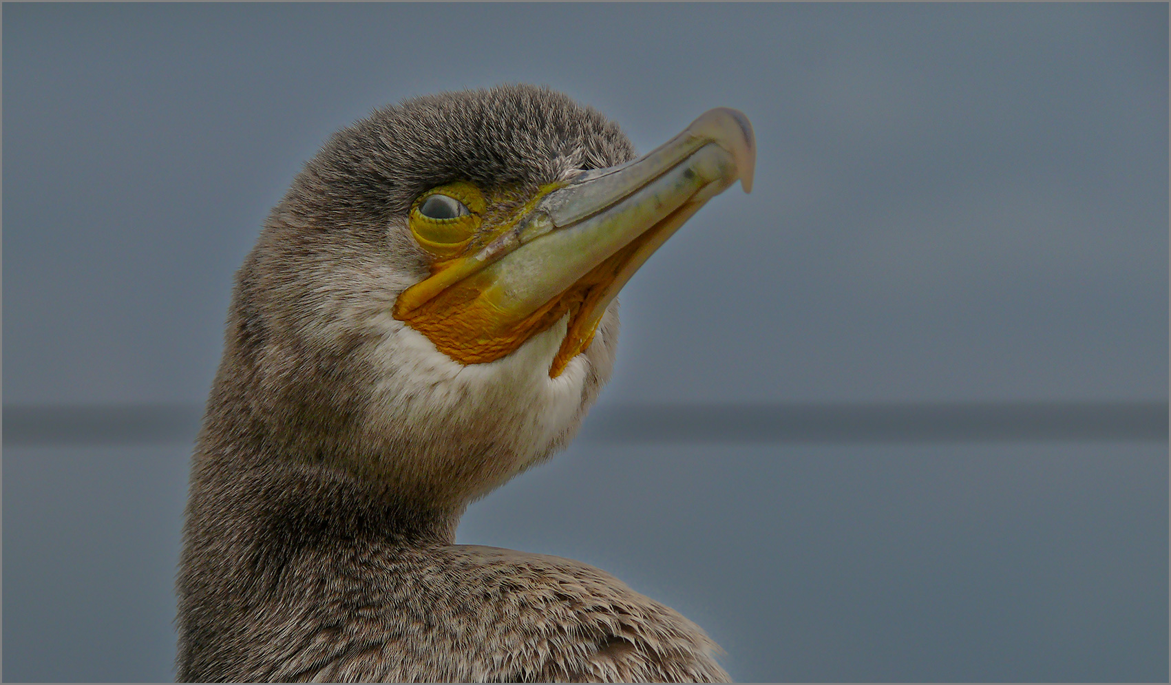 Ein Blick auf das Wetter   . . .