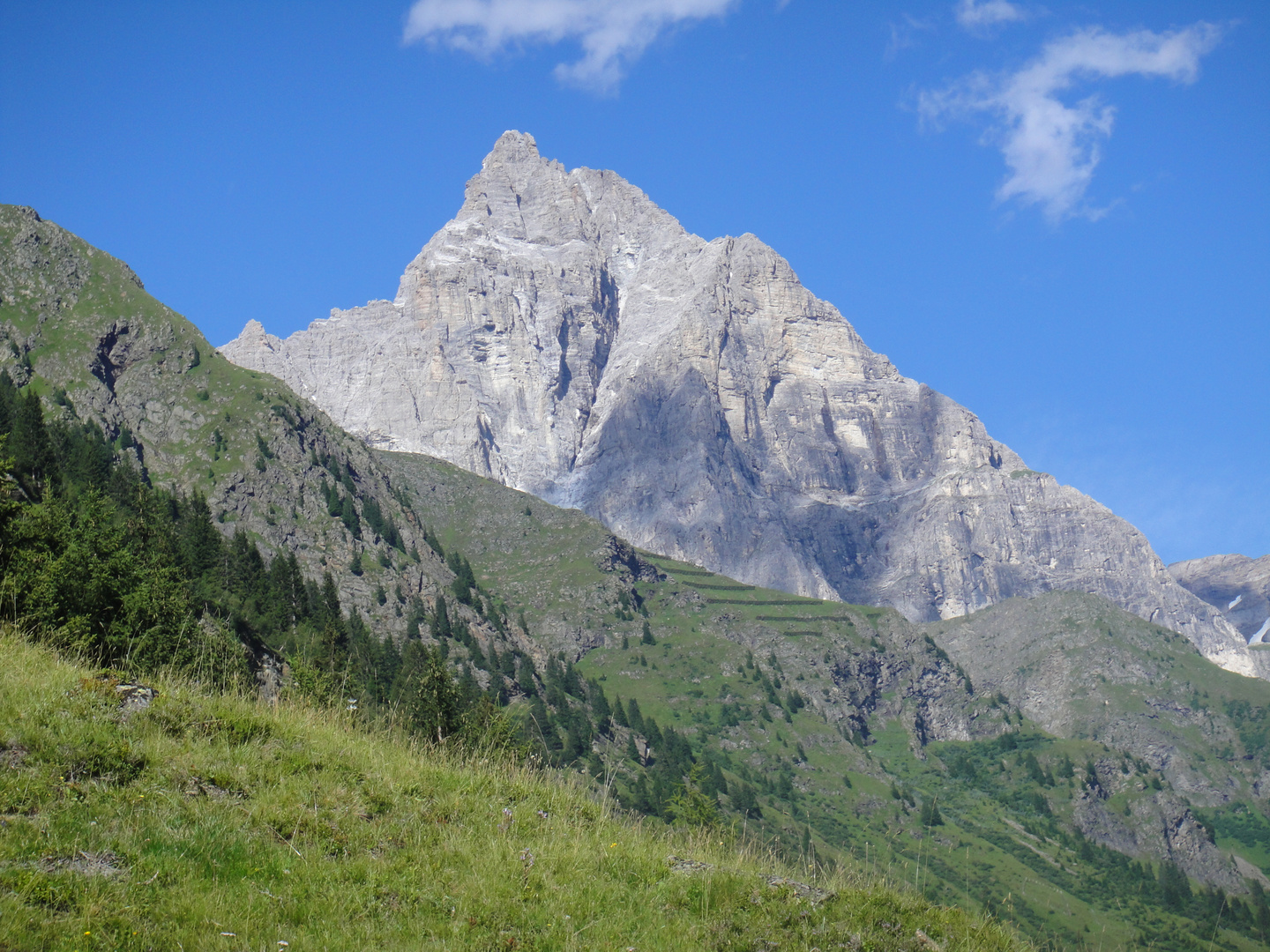 Ein Blick auf dem Tribulaun - auf dem Weg zur Magdeburger Hütte - Sommer 2009