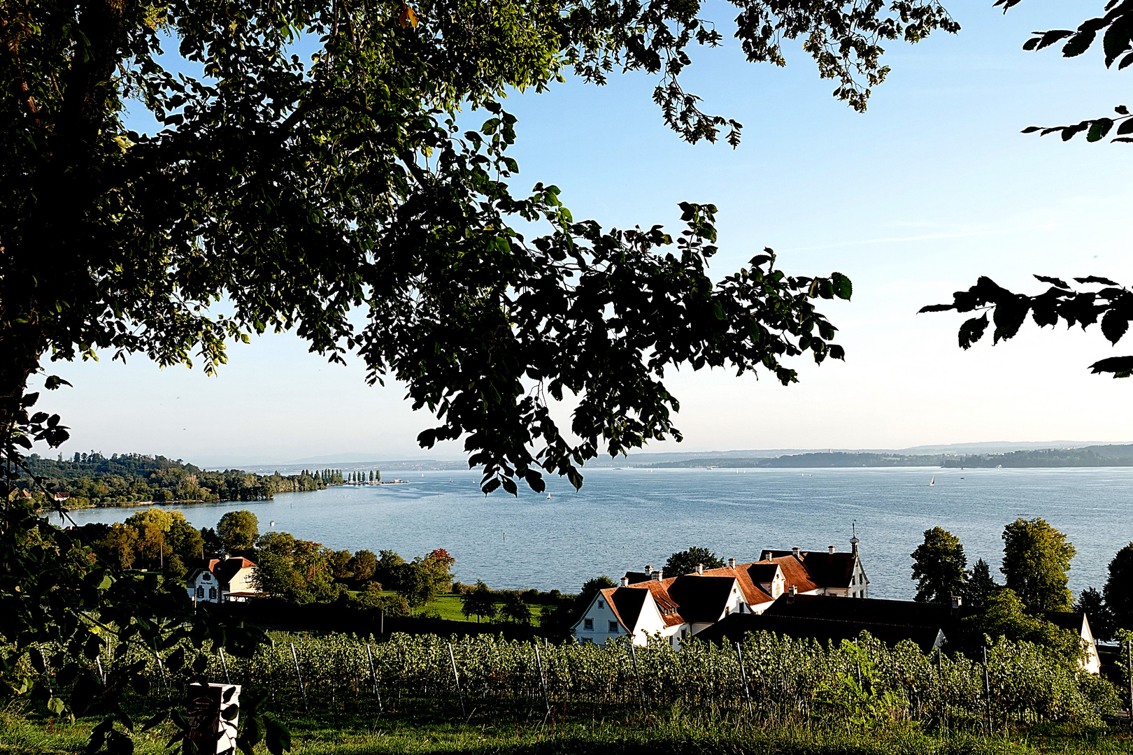 ein Blick auf den Bodensee von der Birnau aus