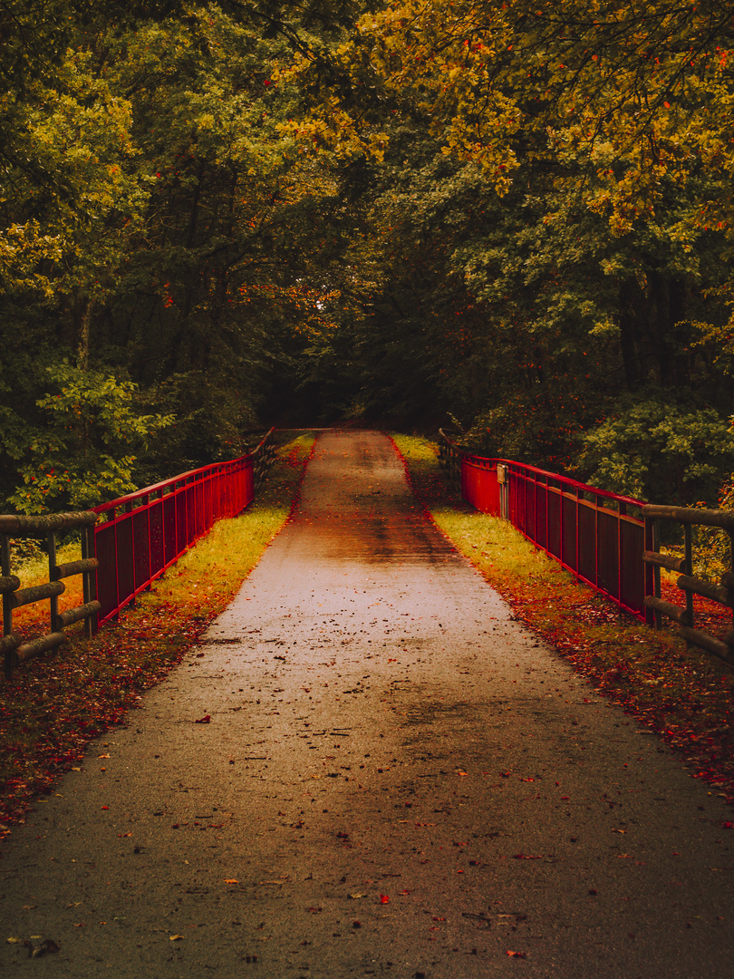 Ein Blick auf den Herbst