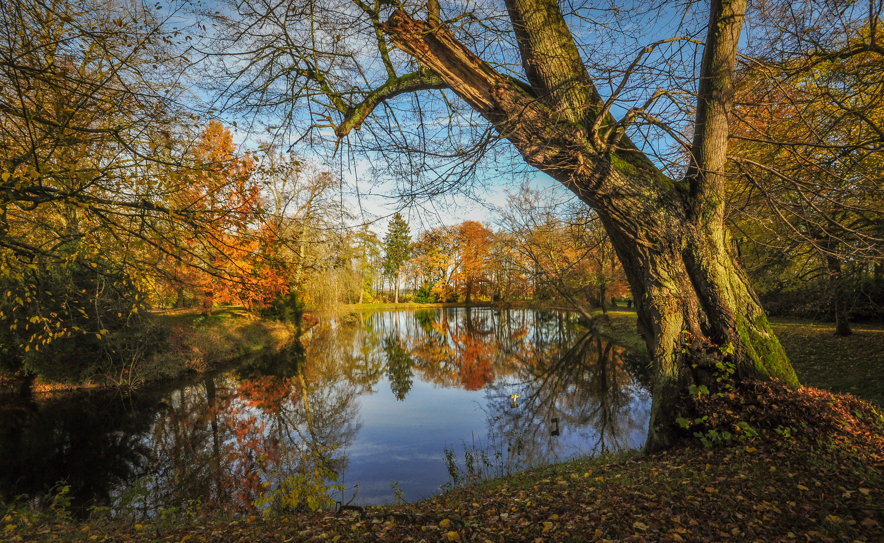 Ein Blick auf den See im Park