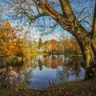 Ein Blick auf den See im Park