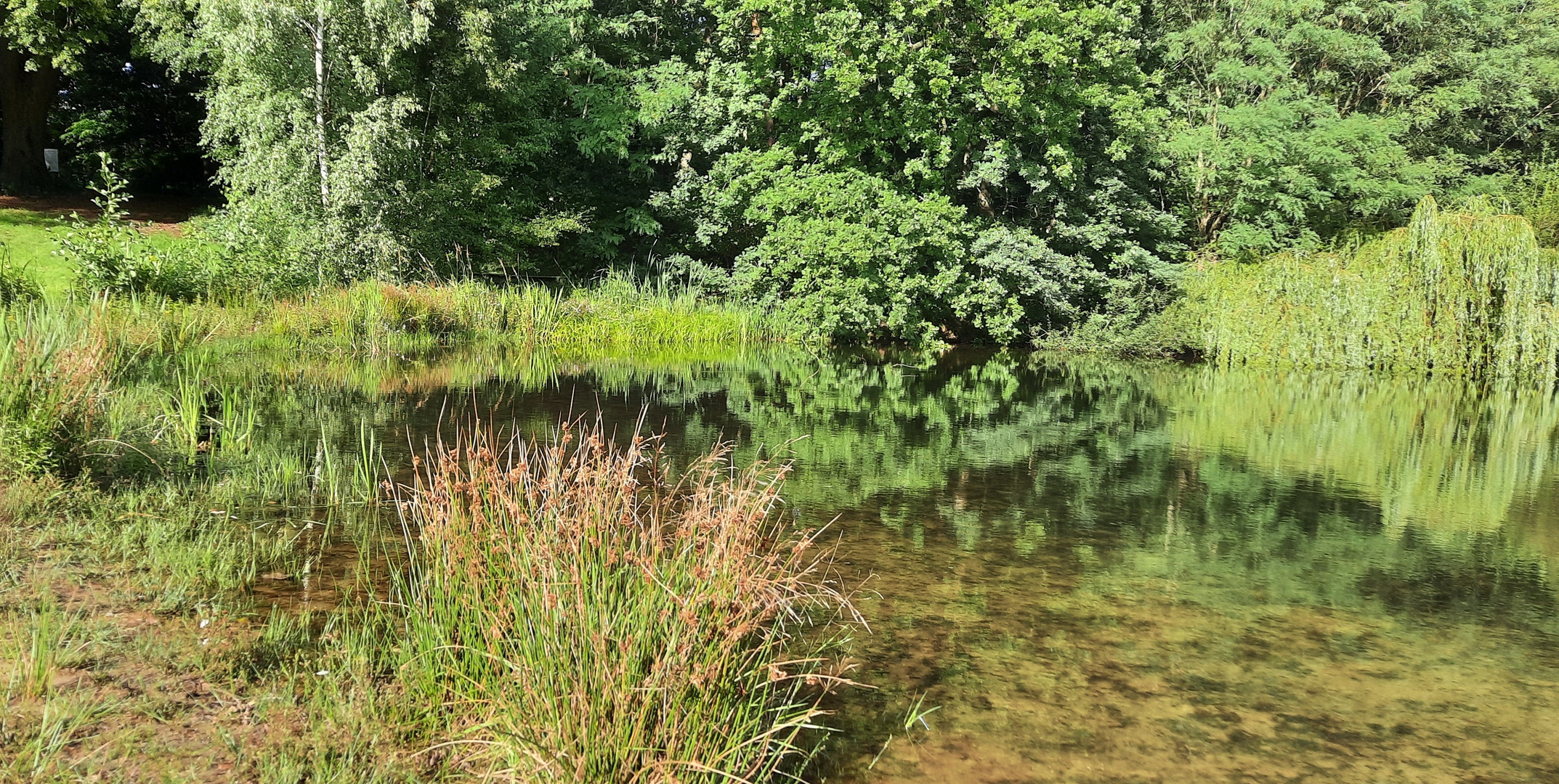 ein Blick auf den stillen See 