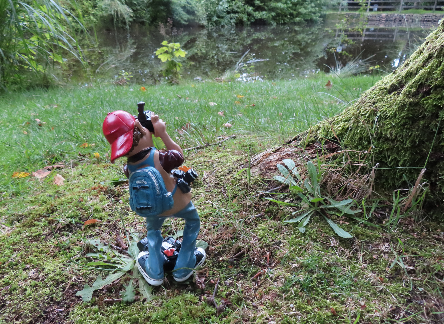 Ein Blick auf den Weiher im Stadtparkt 