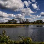 ein Blick auf die Elbe ....