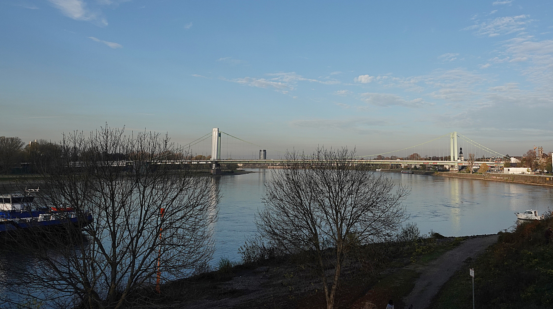 ein Blick auf die Köln-Mülheimer Brücke