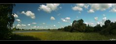 Ein Blick auf die Oberlausitzer Heide