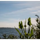 ein Blick auf die Ostsee