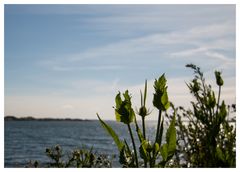 ein Blick auf die Ostsee