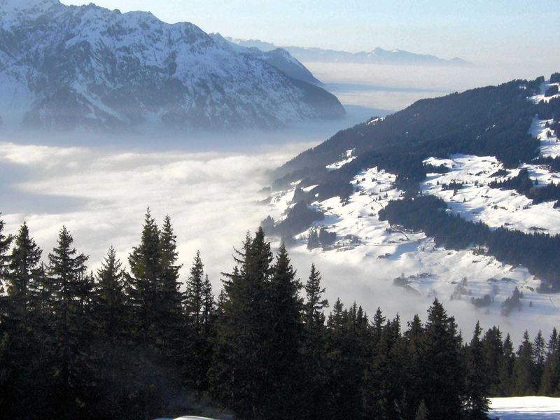 Ein Blick auf die Wolken