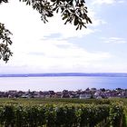 ein Blick auf Hagnau und den Bodensee