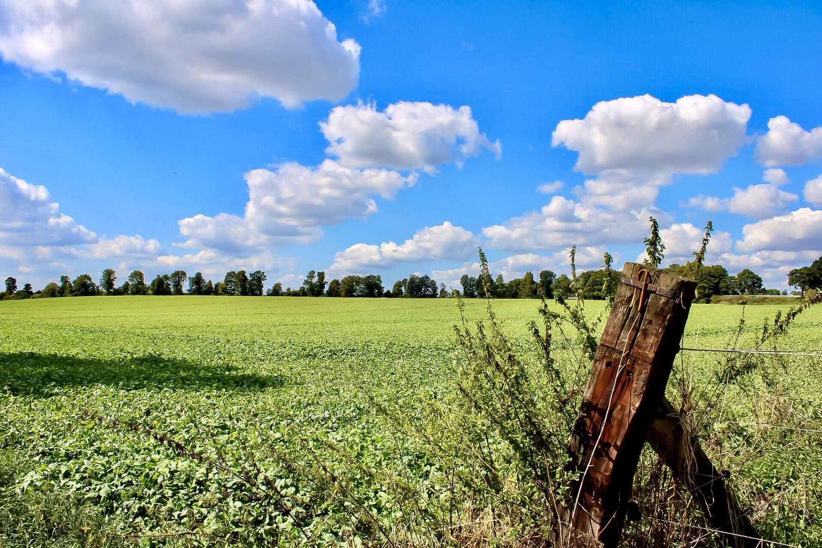 Ein Blick auf Haweii 