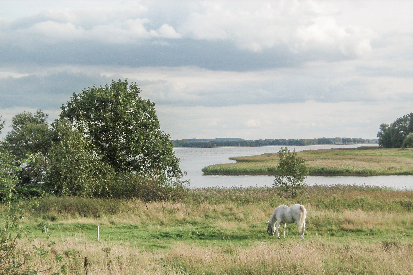 ein Blick auf Rügen