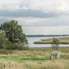 ein Blick auf Rügen