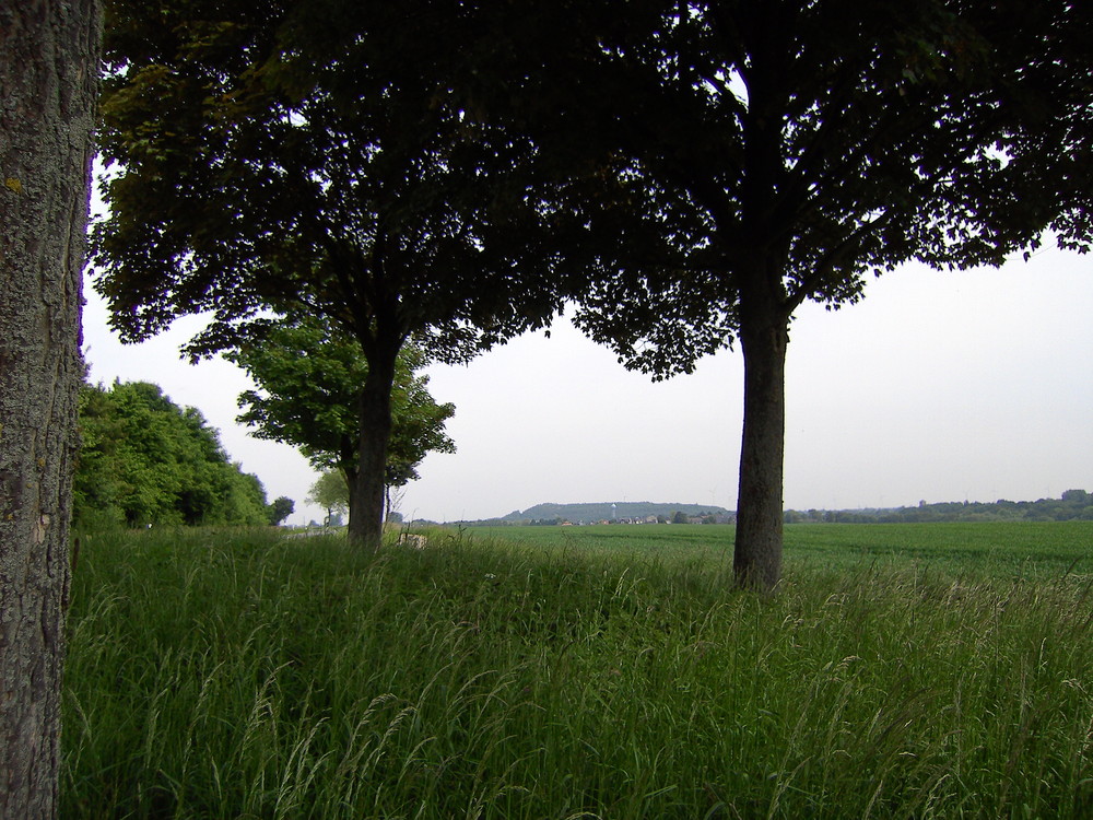 ein Blick auf Übach