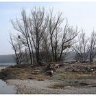 Ein blick auf unsere donau in orth (N.Ö:) noch gibt uns die natur zeit - einen schönen herbst zu