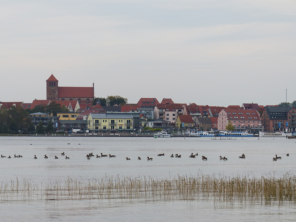 Ein Blick auf Waren